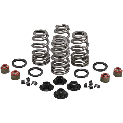 KPMI Spring Kit .660 Lift Twin Cam '05-10 [MPN: 20-21550]_102913