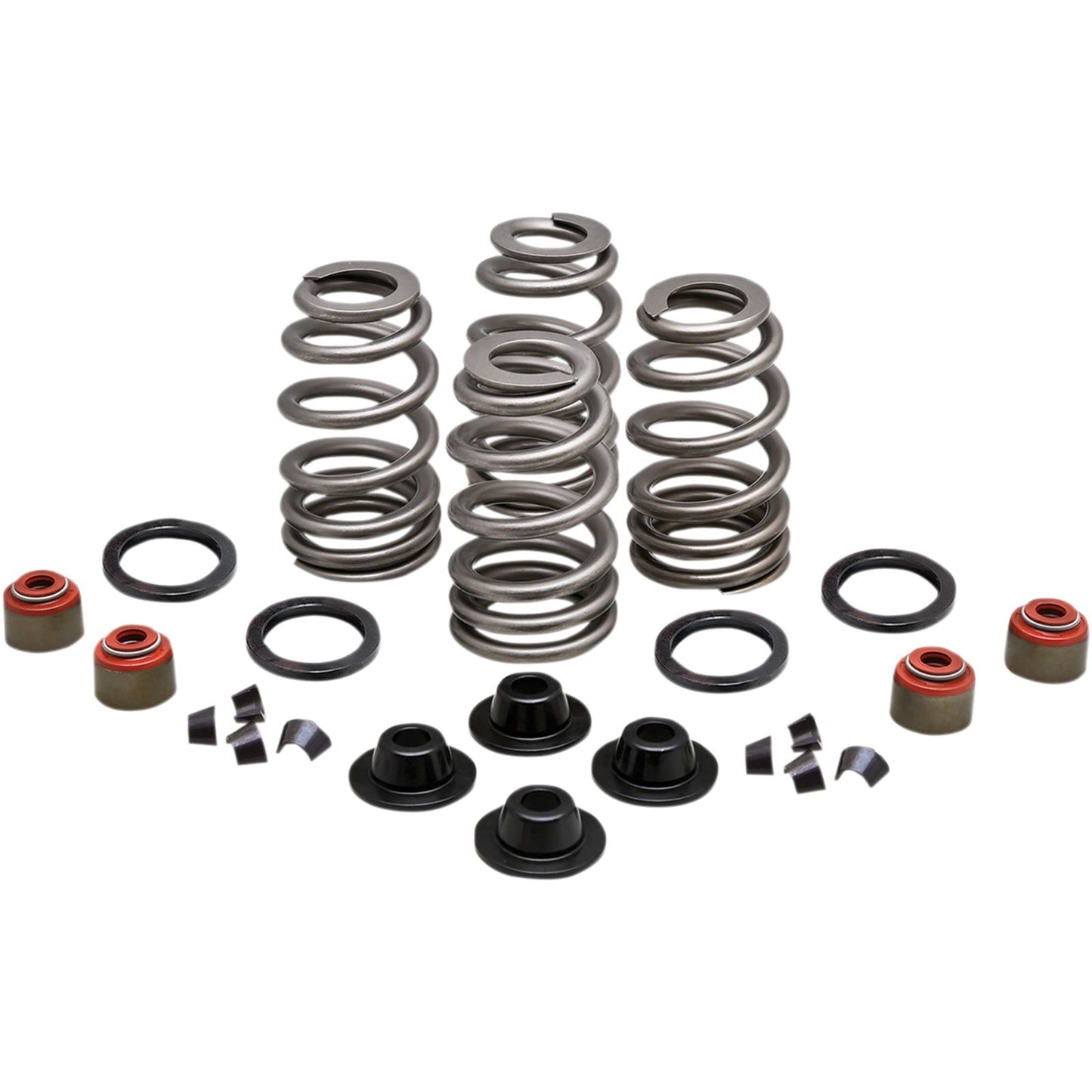 KPMI Spring Kit .660 Lift Twin Cam '05-10 [MPN: 20-21550]_407411