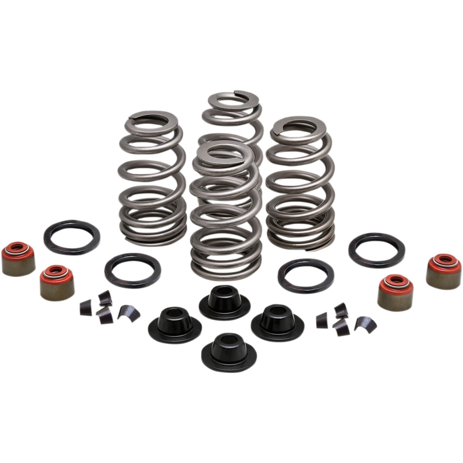 KPMI Spring Kit .660 Lift Twin Cam '05-10 [MPN: 20-21550]_407411