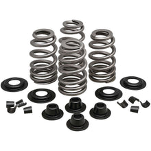 KPMI Spring Kit .610 Lift [MPN: 20-21300]_102915