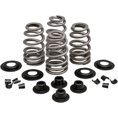 KPMI Spring Kit .610 Lift [MPN: 20-21300]_407408