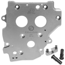 Feuling OE+ Cam Plate - Chain 8031_105234