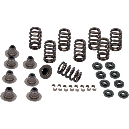 S&S Cycle Spring Kit - .605" - Milwaukee Eight 900-0958_469371