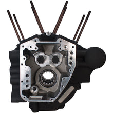 S&S Cycle Engine Case - Twin Cam 310-0369_469099