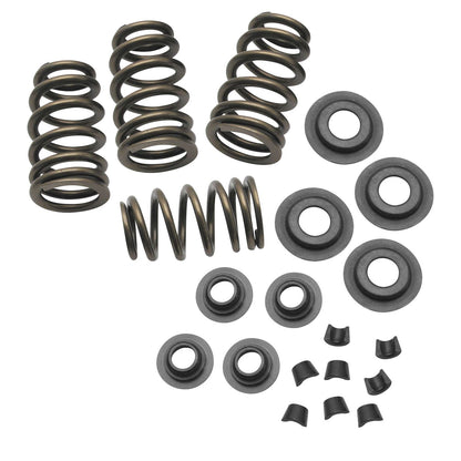 S&S Cycle Spring Kit - .650" 900-0050_109967