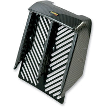 Maier Radiator Cover - for Yamaha Banshee - Carbon Fiber 18959-30_424020
