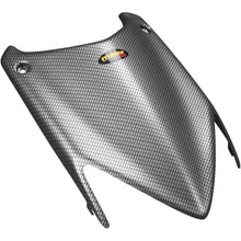 Maier Hood - Carbon Fiber 50974-30_424048