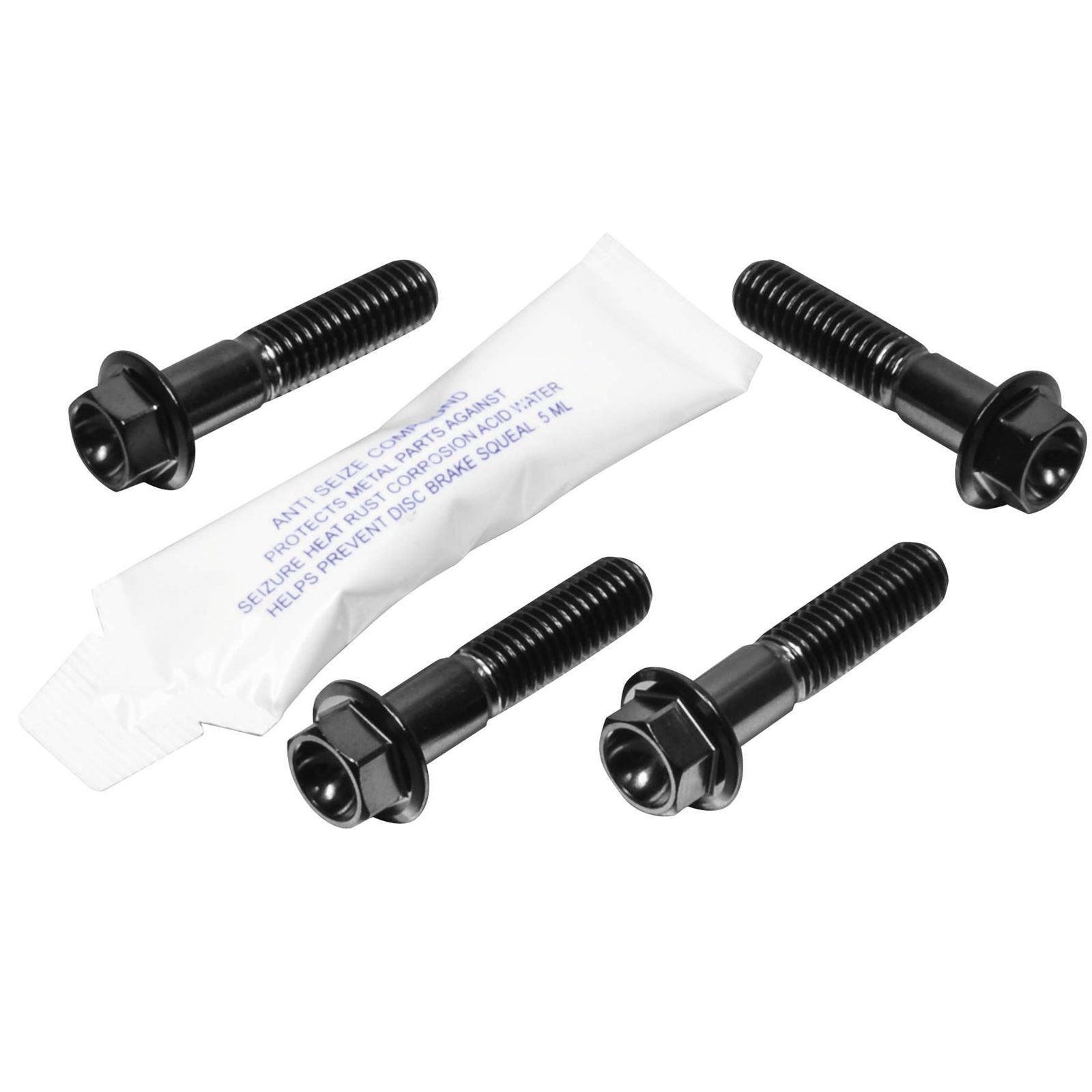 Pro-Bolt Rider and Passenger Hanger Bolt Kits [MPN: SSPREST340BK]_119142