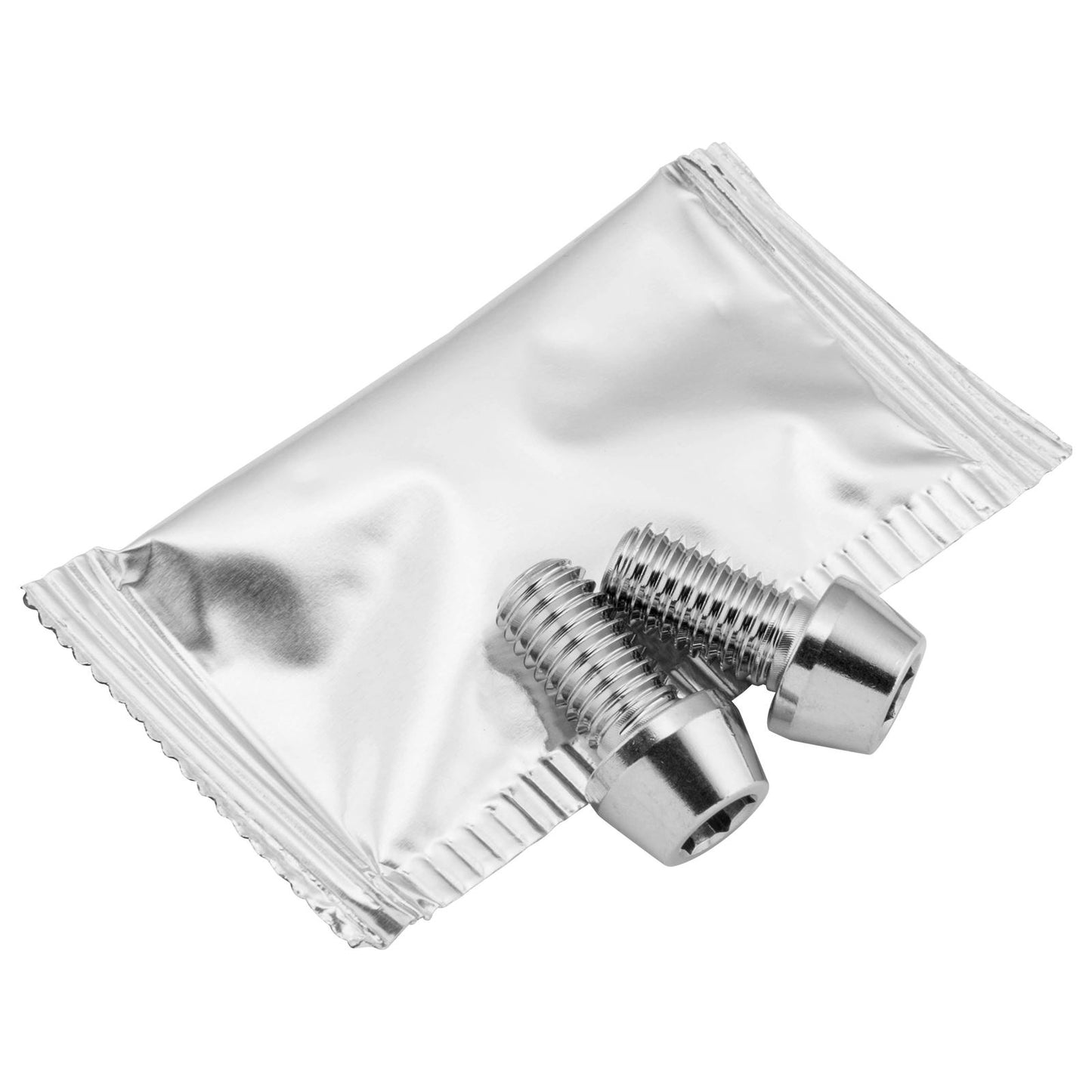 Pro-Bolt Stainless Steel Rear Brake Caliper Mount Bolts - Silver [MPN: SSRBMON200]_119151