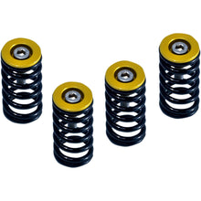 Barnett Performance Clutch Springs - Gold for Ducati [MPN: 519-25-06090]_348493