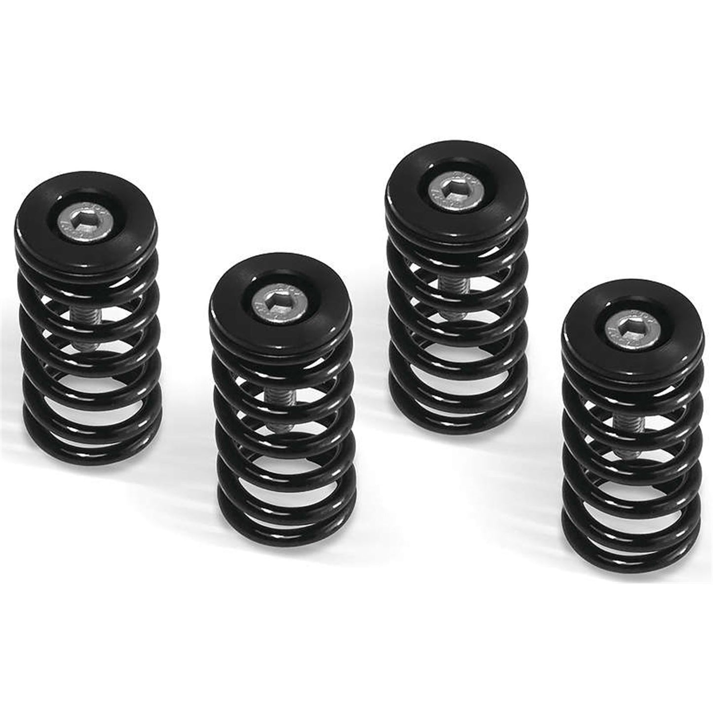 Barnett Performance Clutch Springs - Black for Ducati [MPN: 519-25-06095]_119918