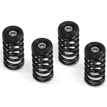 Barnett Performance Clutch Springs - Black for Ducati [MPN: 519-25-06095]_119918