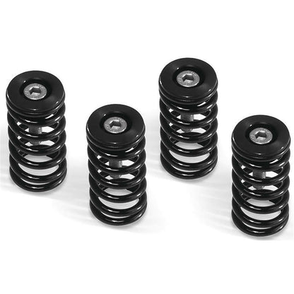 Barnett Performance Clutch Springs - Black for Ducati [MPN: 519-25-06095]_119918
