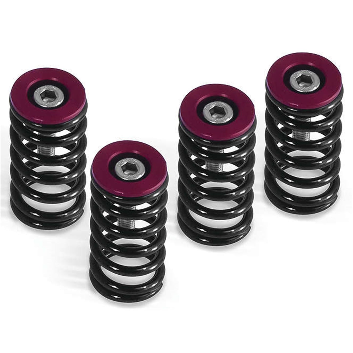Barnett Performance Clutch Springs - Red for Ducati [MPN: 519-25-06098]_119919