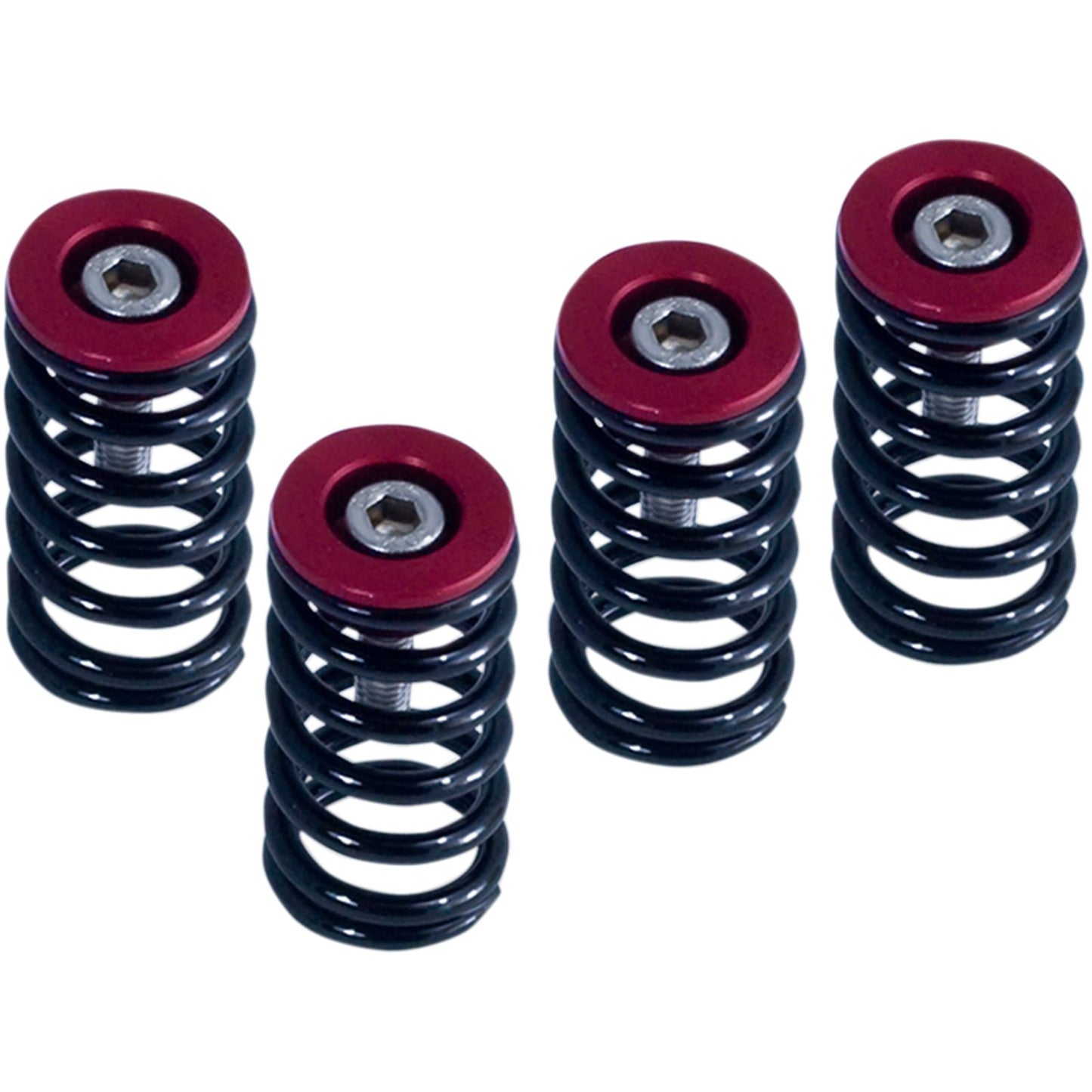Barnett Performance Clutch Springs - Red for Ducati [MPN: 519-25-06098]_348494