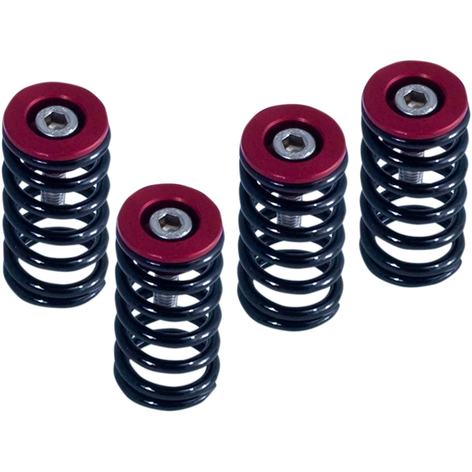 Barnett Performance Clutch Springs - Red for Ducati [MPN: 519-25-06098]_348494