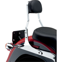 Cobra Short Sissy Bar - Dyna '06-17 [MPN: 602-1202]_361160