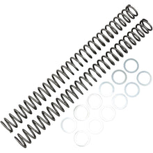 Race Tech Fork Springs - 0.44 kg/mm [MPN: FRSP 414644]_462460