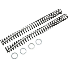 Race Tech Fork Springs - 0.46 kg/mm [MPN: FRSP 414746]_462463