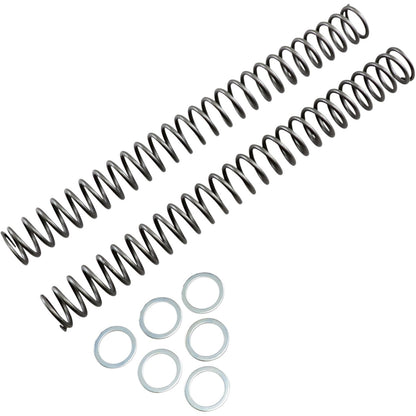 Race Tech Fork Spring 0.46kg [MPN: FRSP 444546]_462062