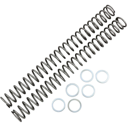 Race Tech Fork Spring 0.48kg [MPN: FRSP 444548]_462063