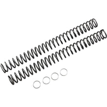 Race Tech Fork Spring 0.46kg [MPN: FRSP 444646]_462084