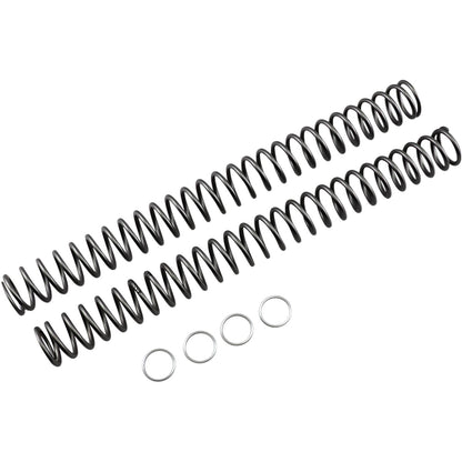 Race Tech Fork Spring 0.46kg [MPN: FRSP 444646]_462084