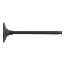 Hot Cams Exhaust Valve Steel 8400003-1_125808