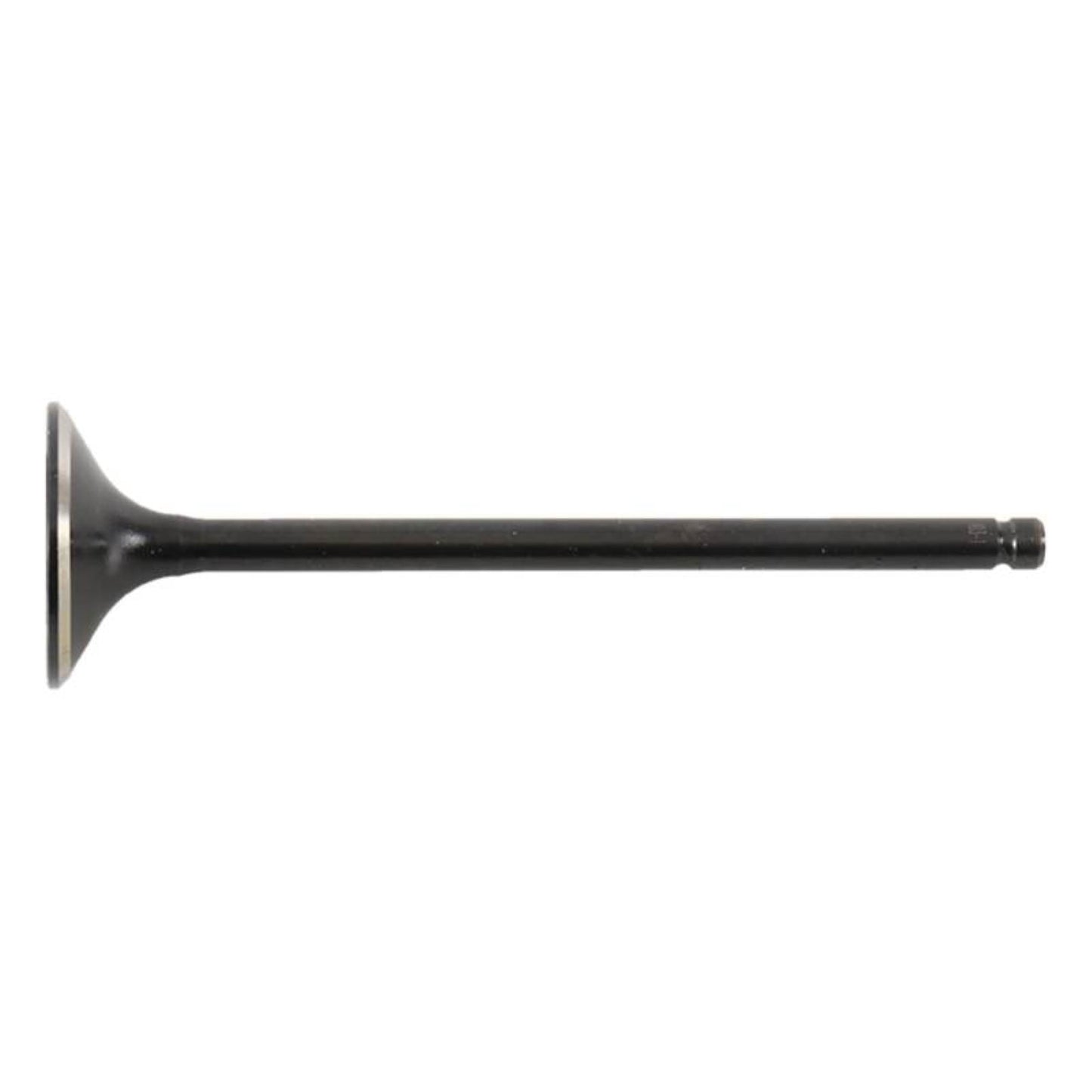 Hot Cams Exhaust Valve Steel 8400003-1_1648527