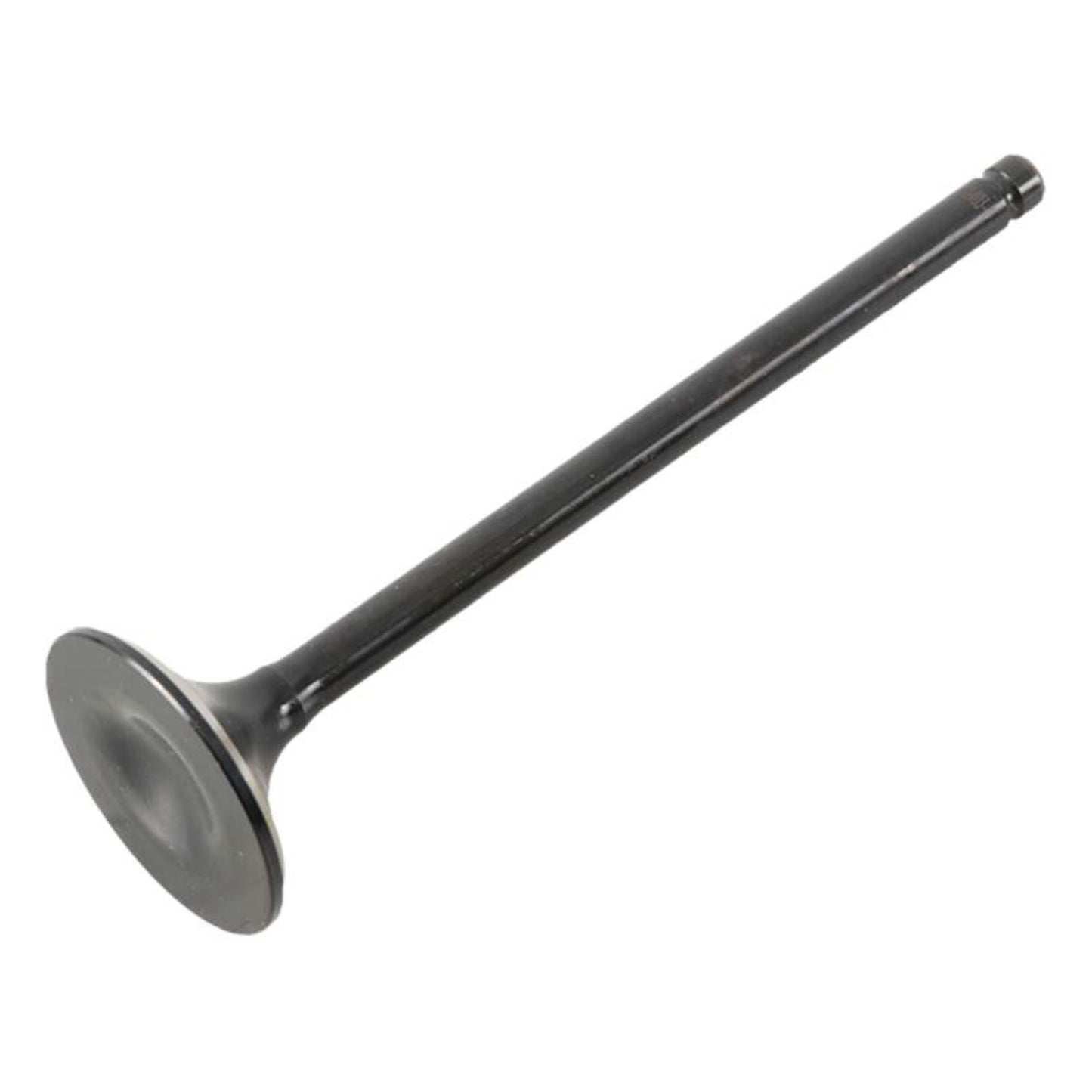 Hot Cams Exhaust Valve Steel 8400003-1_1648528