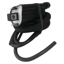 Ricks Ignition Coil [MPN: 23-106]_125892