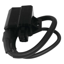 Ricks Ignition Coil [MPN: 23-303]_125893