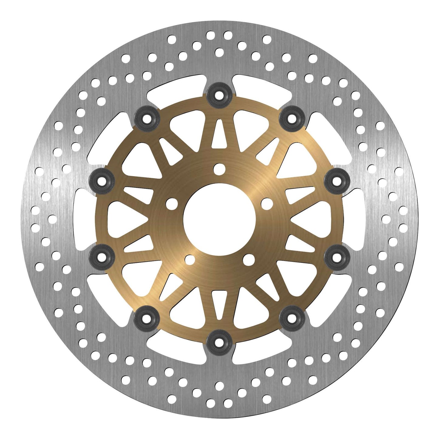 BikeMaster Brake Rotor for Kawasaki VN/ZX/ZZ - Front  166_129600