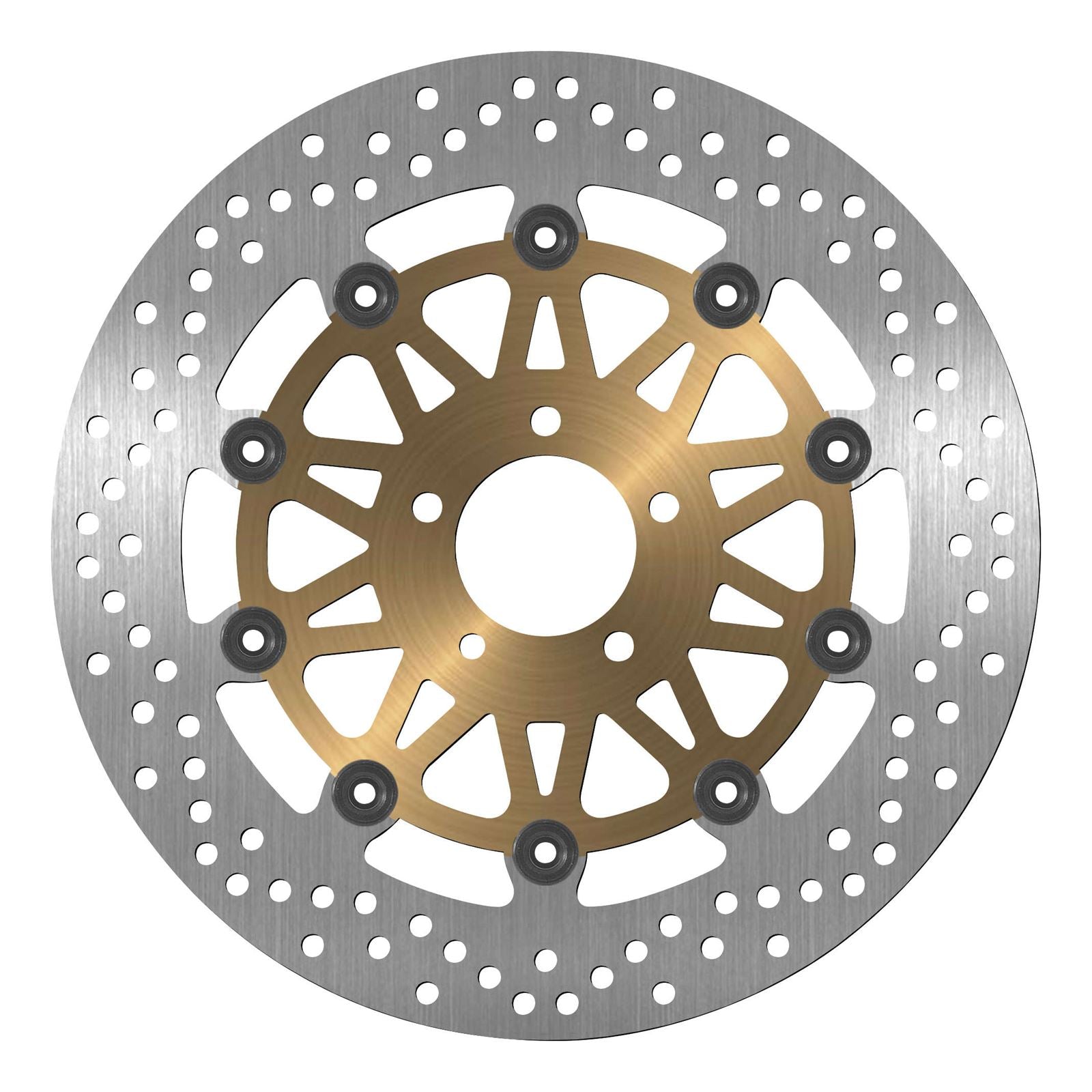 BikeMaster Brake Rotor for Kawasaki VN/ZX/ZZ - Front  166_129600