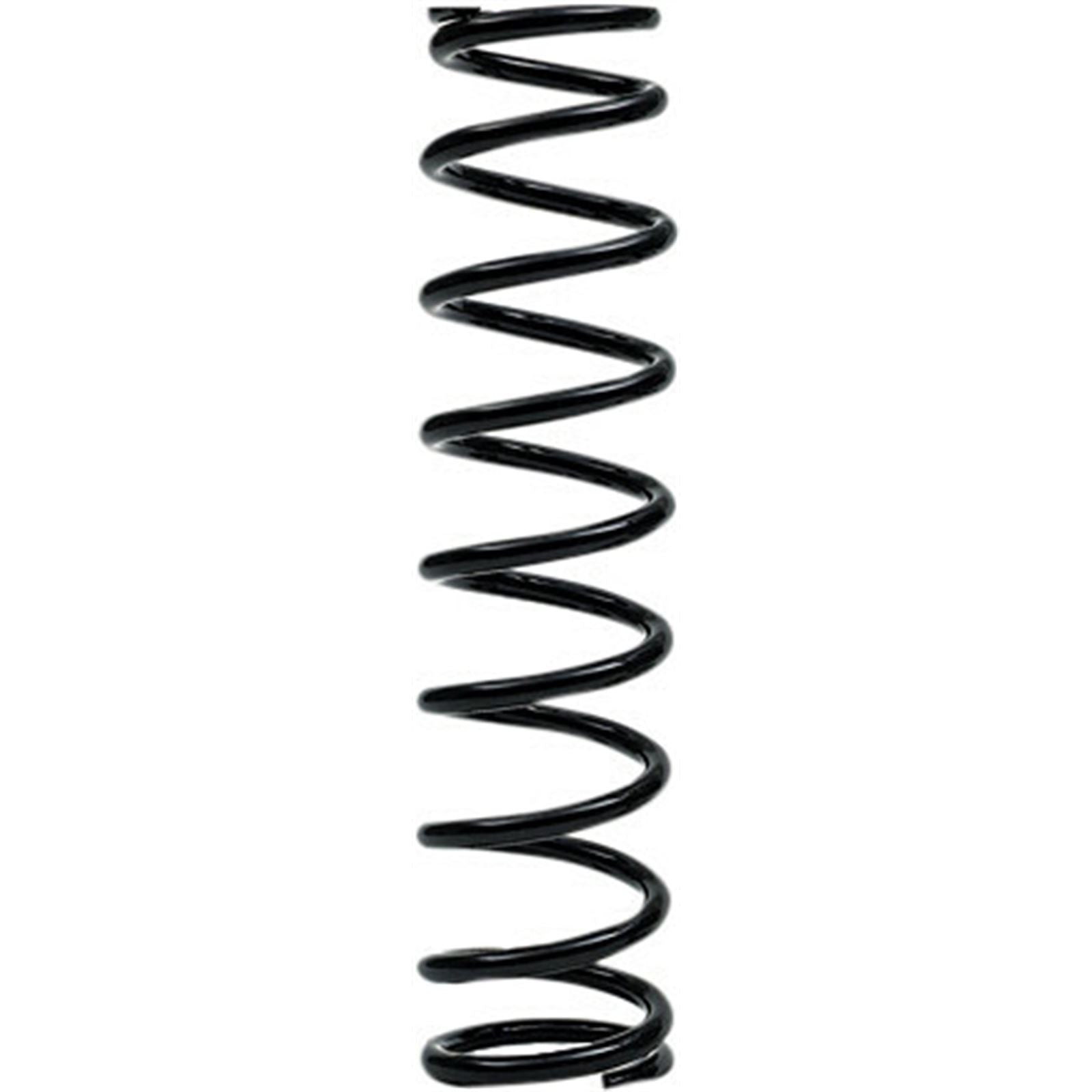 EPI Front/Rear Spring - Heavy Duty - Black - Spring Rate 125 lbs/in WE321520_1134729