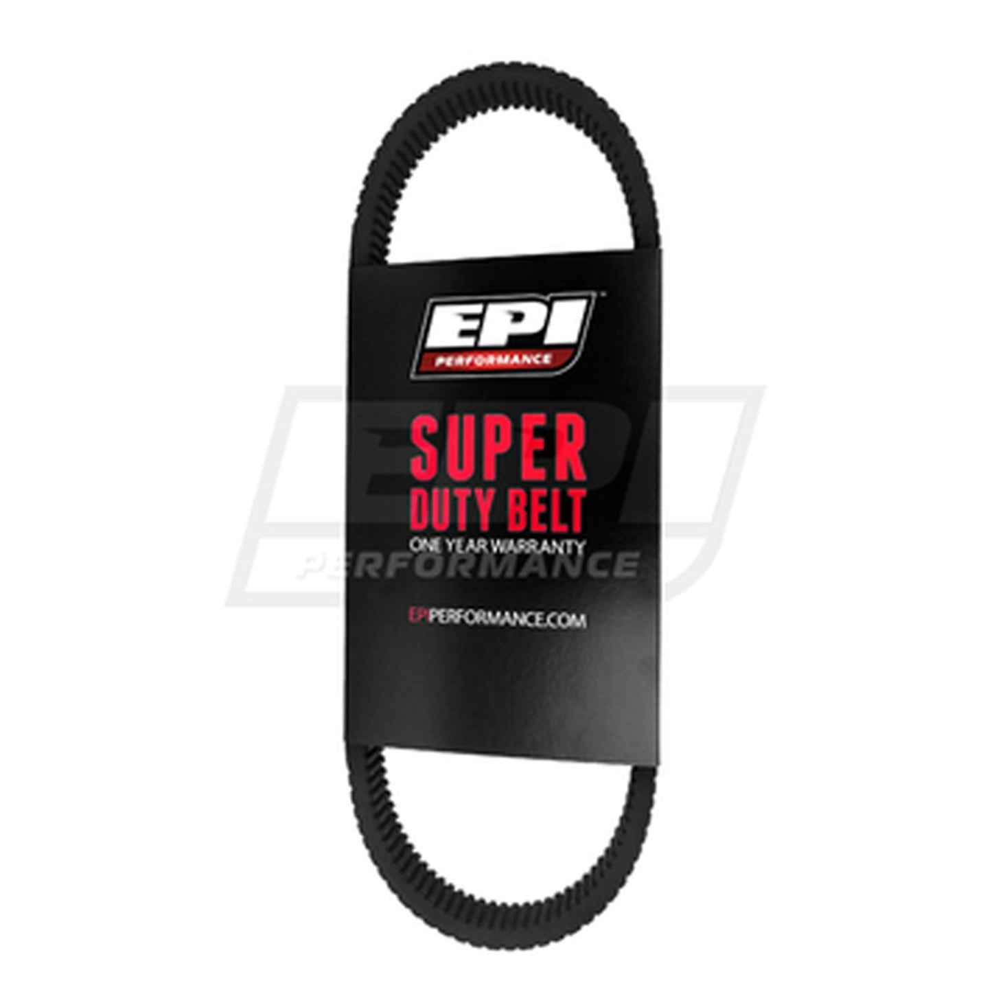 EPI Standard Belt WE262026_563311