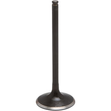KPMI Exhaust Valve [MPN: 40-4192]_1041420