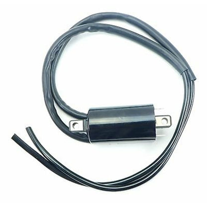 2FastMoto 12 Volt Dual Output Ignition Coil For Suzuki Yamaha 2fm-lfic-gsf_636817