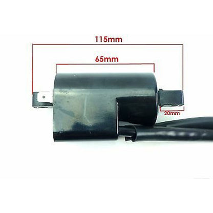 2FastMoto 12 Volt Dual Output Ignition Coil For Suzuki Yamaha 2fm-lfic-gsf_645050