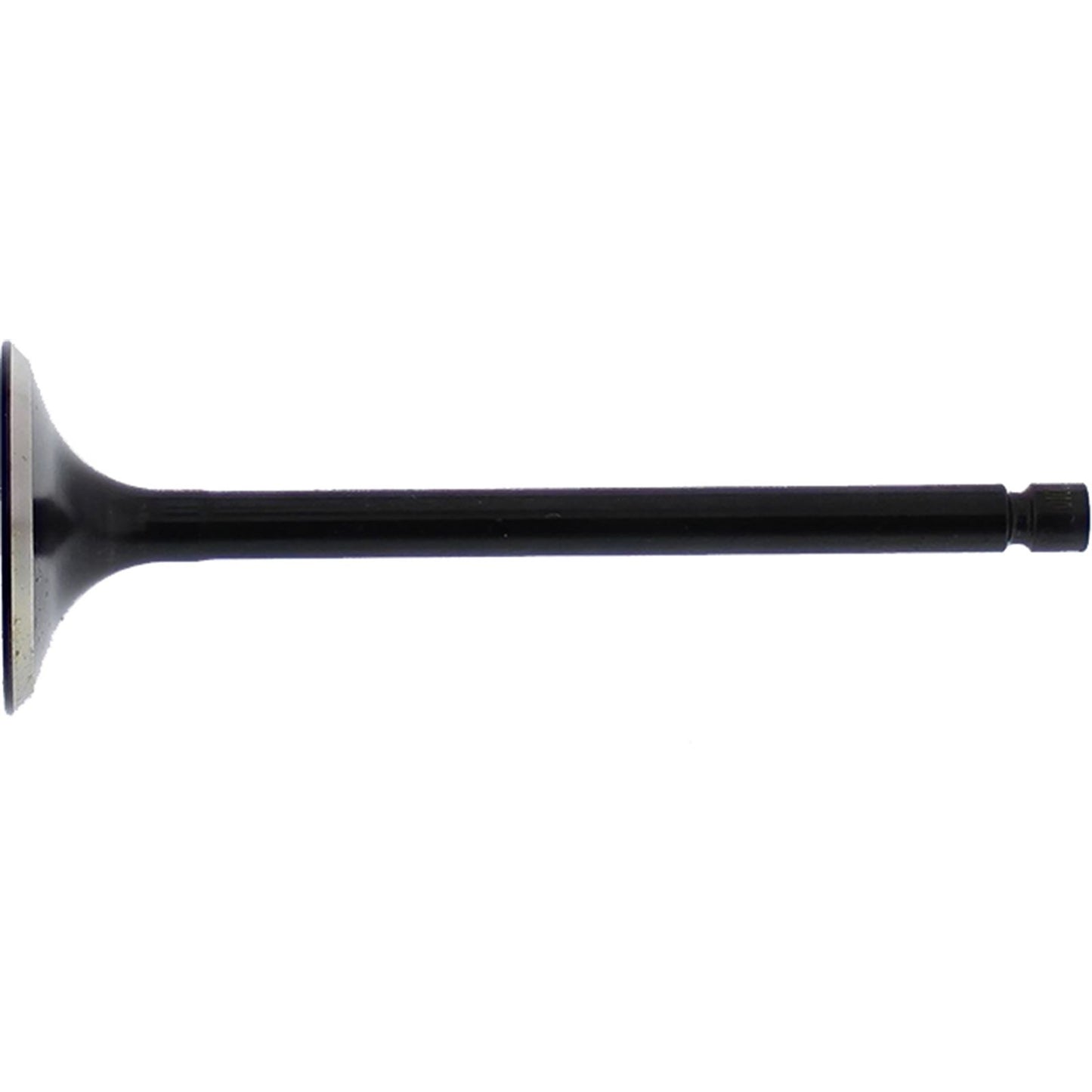 Hot Cams Exhaust Valve Steel HC00037_135764