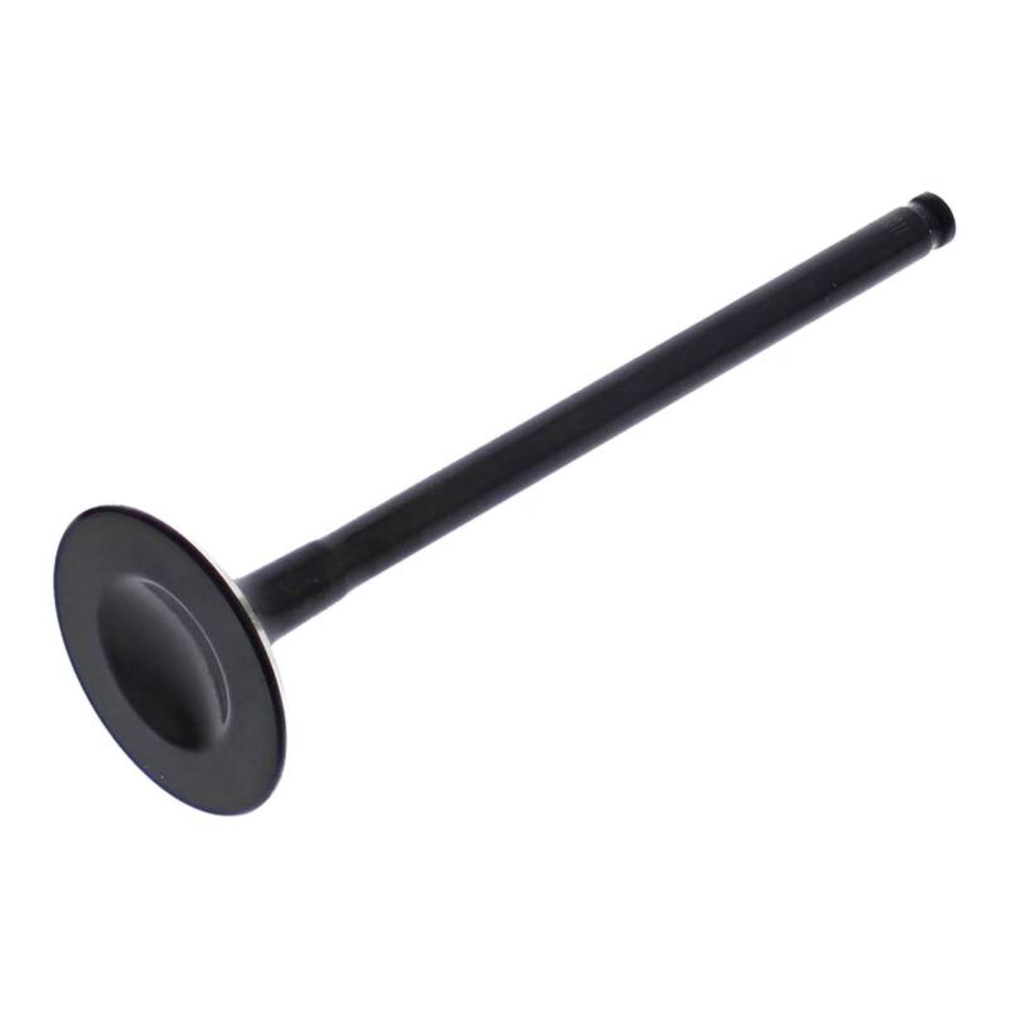Hot Cams Exhaust Valve Steel HC00038_1648324
