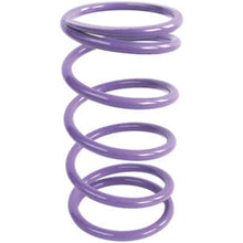 EPI Clutch Spring ,Purple YDS6_137012