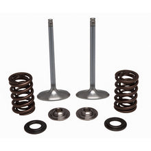KPMI Stainless Steel Intake Valve/Spring Kit [MPN: 30-32780]_137114