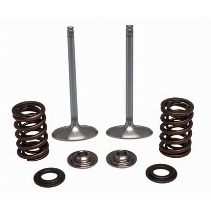 KPMI Stainless Steel Intake Valve/Spring Kit [MPN: 30-32780]_137114