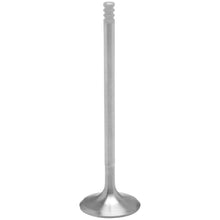 KPMI Exhaust Valve - M8 [MPN: 20-21018K]_137281