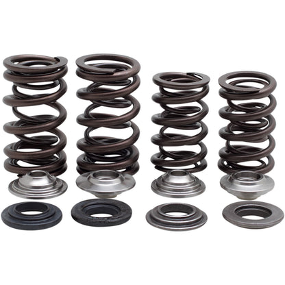 KPMI Racing Valve Spring Kit [MPN: 30-32800]_407455