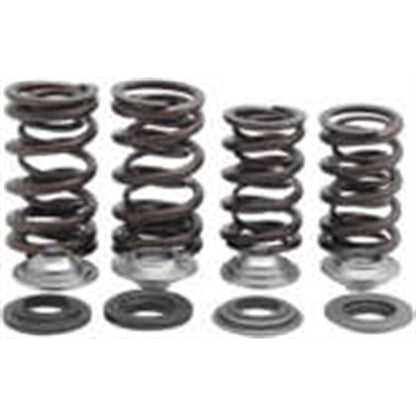 KPMI Racing Valve Spring Kit [MPN: 30-32800]_137621