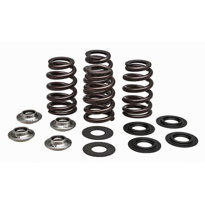 KPMI Racing Valve Spring Kit [MPN: 96-96500]_137749