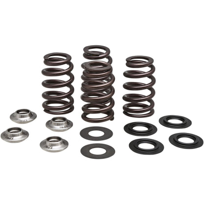 KPMI Racing Valve Spring Kit [MPN: 96-96500]_407441
