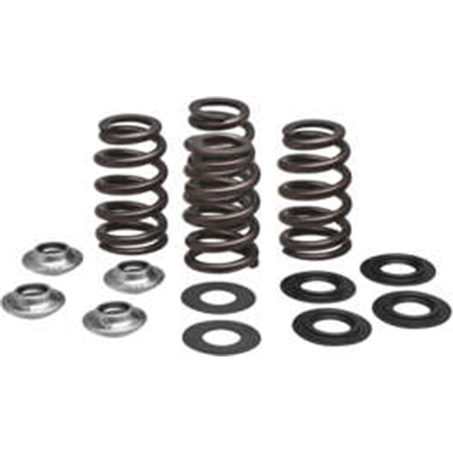 KPMI Racing Valve Spring Kit [MPN: 96-96500]_137750